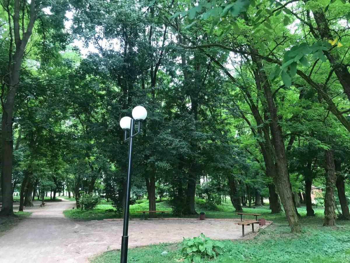 Khutorok Svergio * Chesnovka