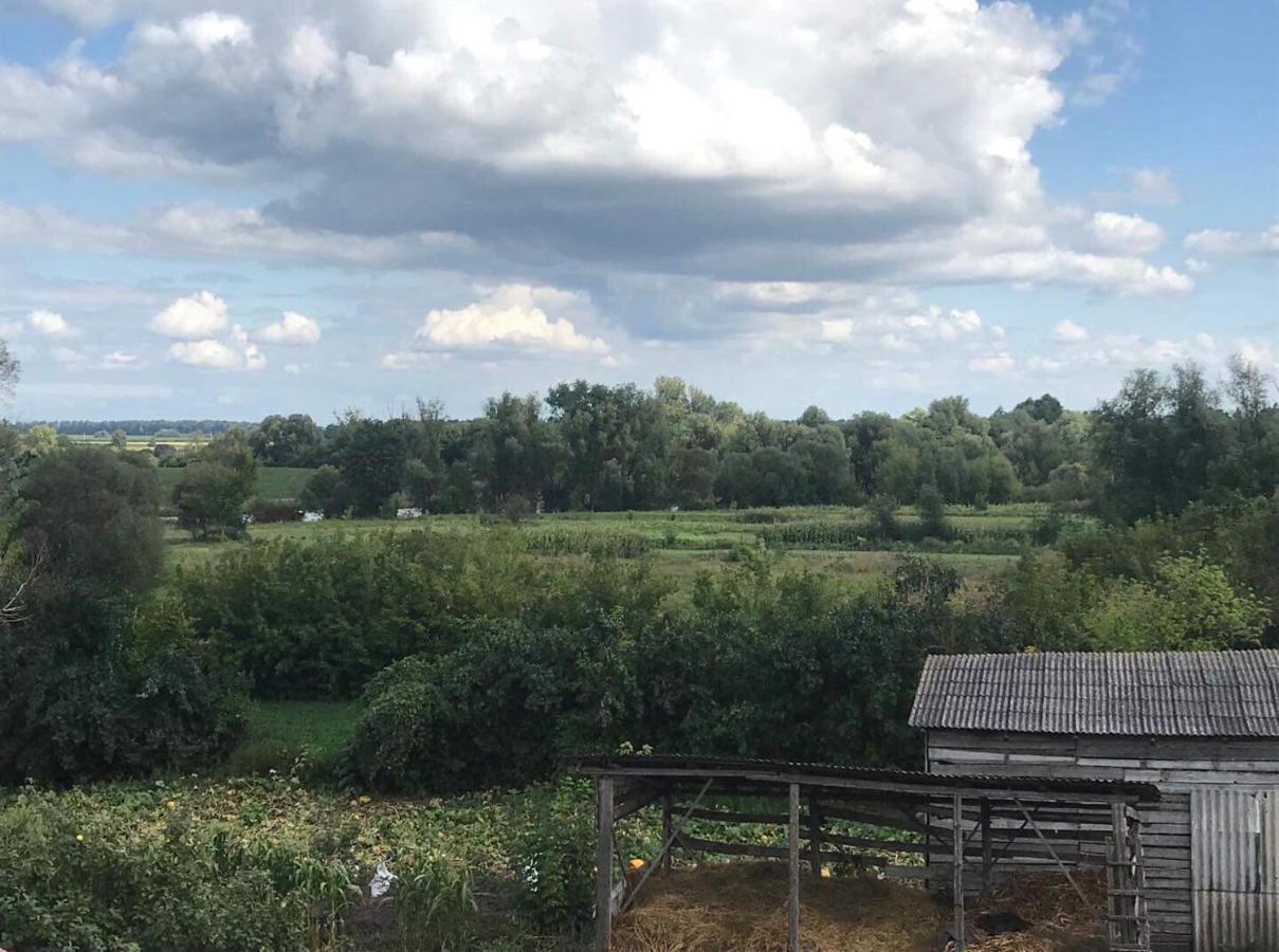 Country house Khutorok Svergio